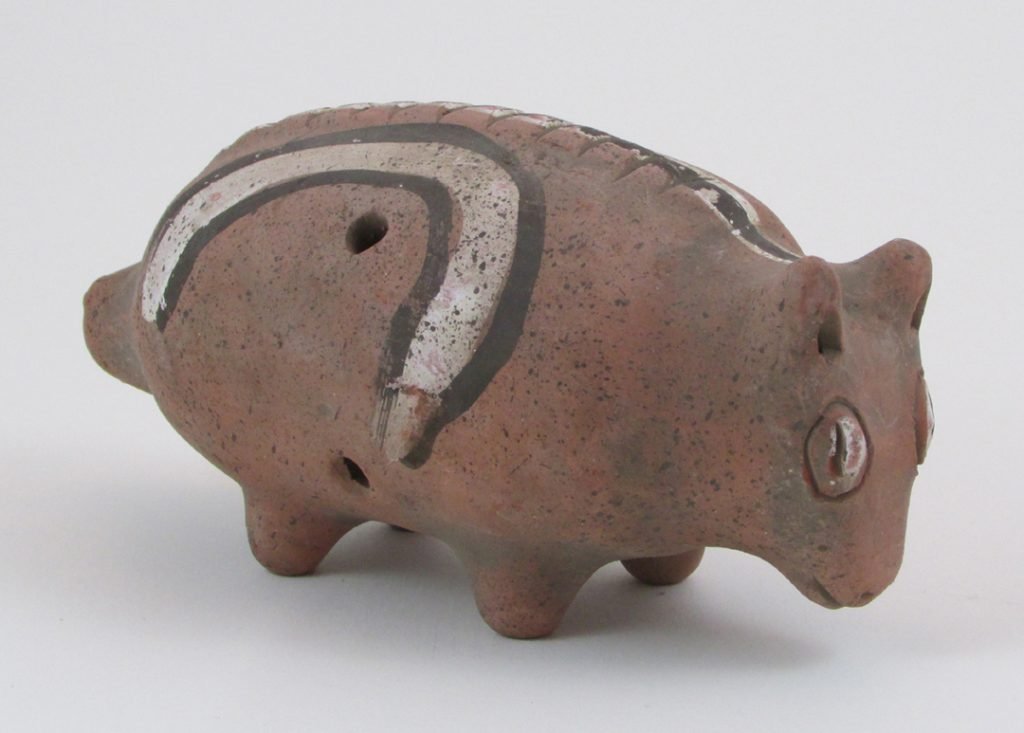 armadillo